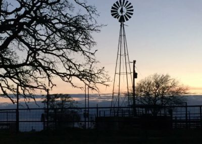 The peaceful countryside visible from Windmill Ranch Lodge.
