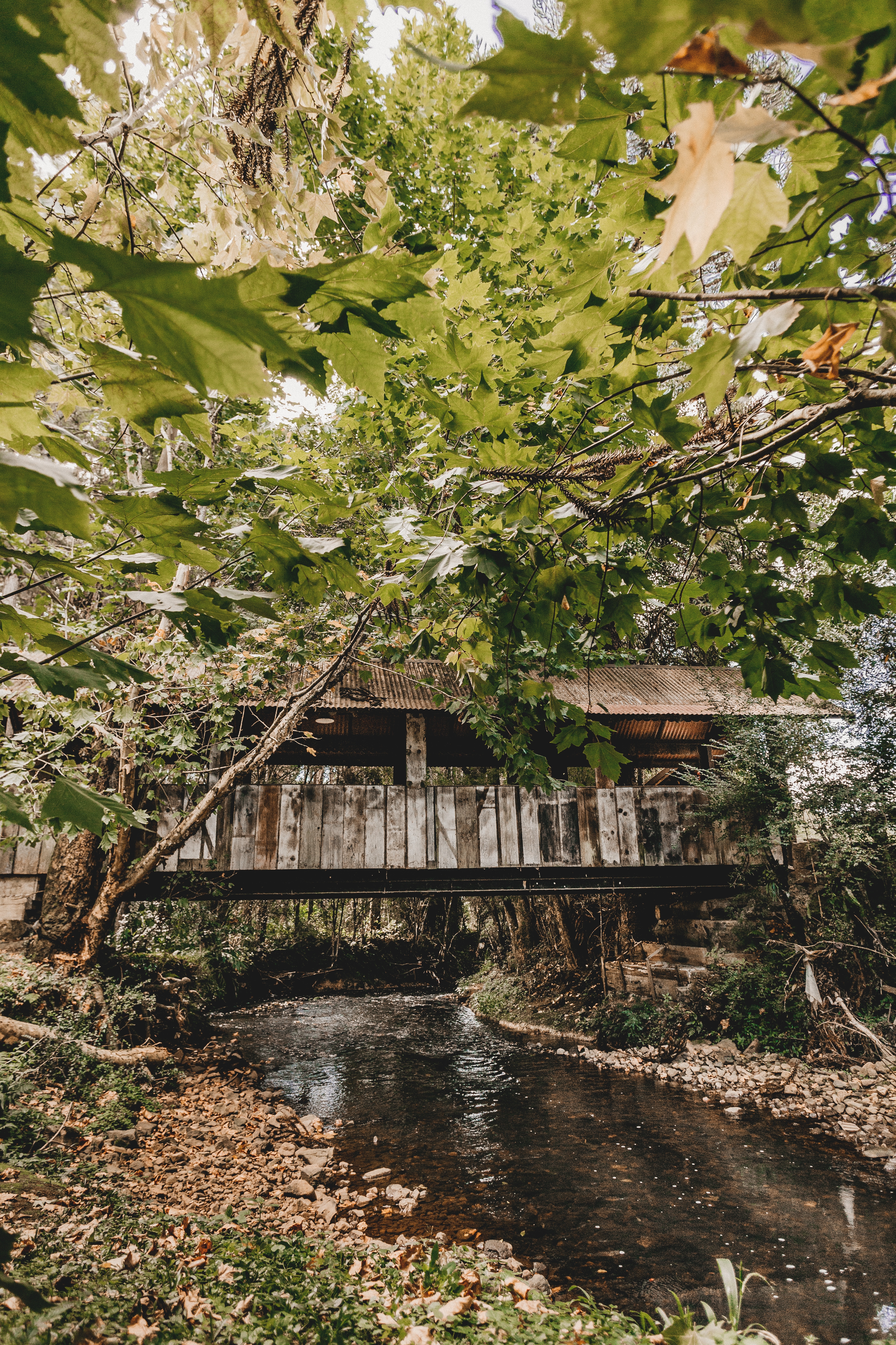 Scenic view of Windmill Ranch Lodge